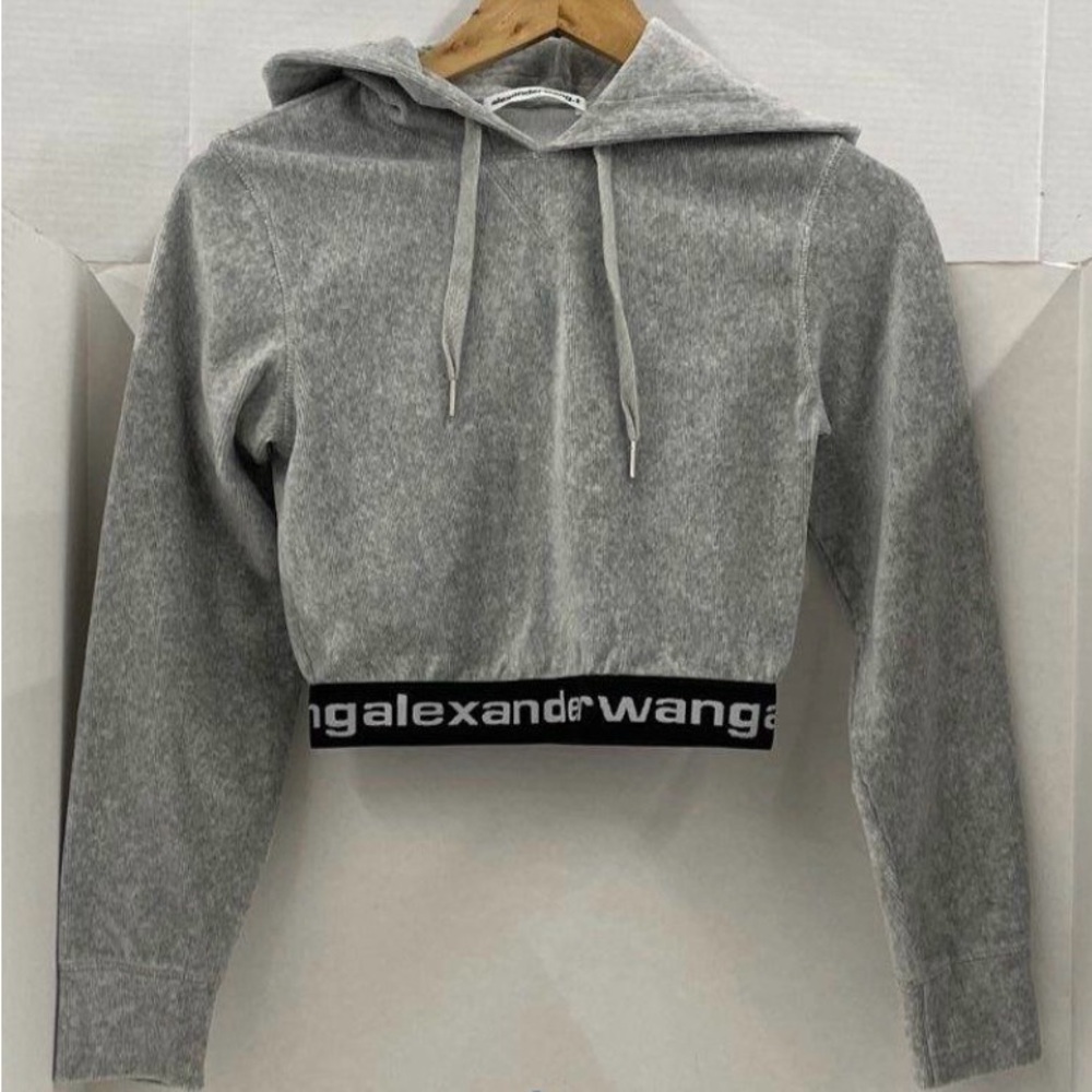 Alexander Wang Corduroy Cropped Hoodie - Picture 5 of 8